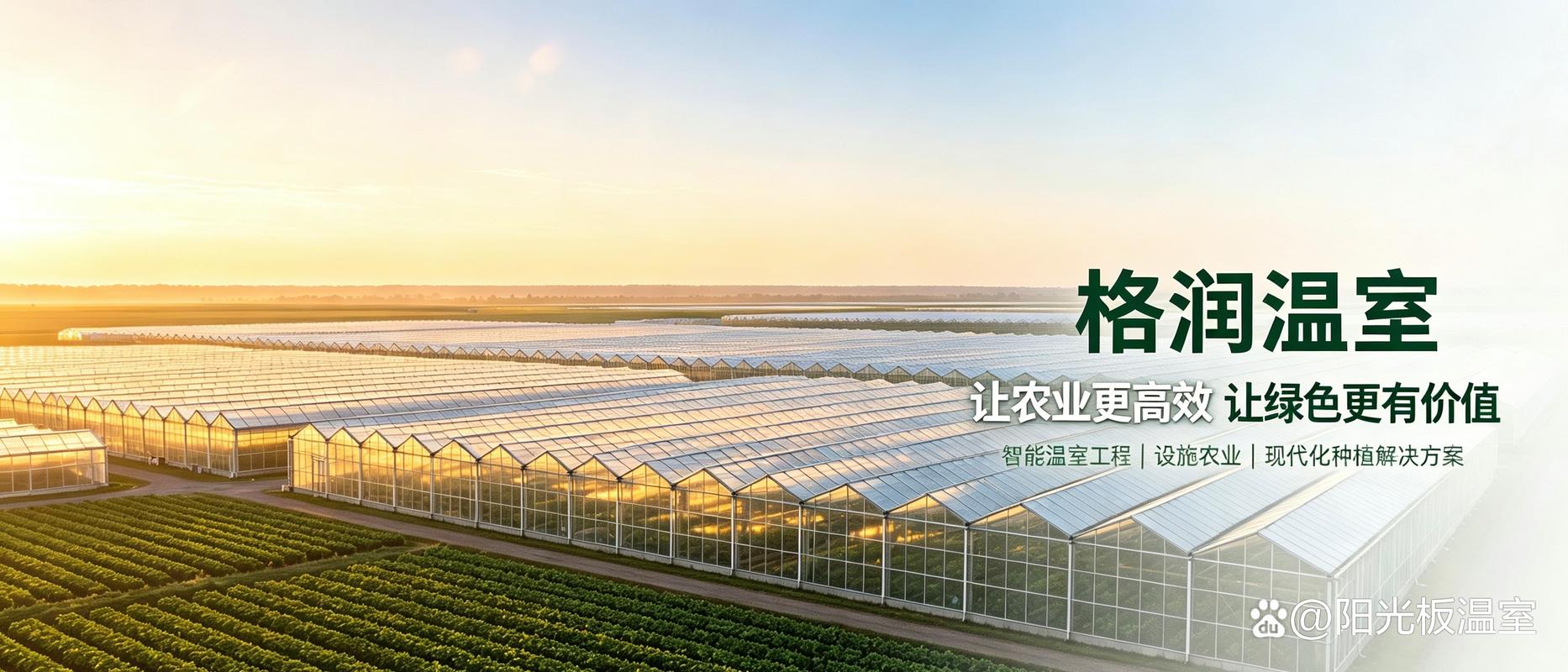 建温室大棚优先选格润温室工程