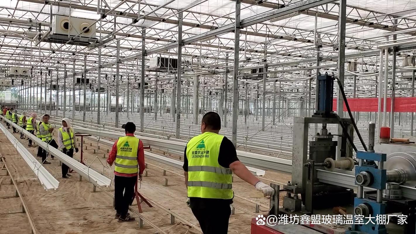 山东潍坊做温室大棚,为什么很多园区认准这一家?