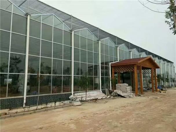 宁夏草莓温室大棚订做选哪家找青州市中翔温室工程