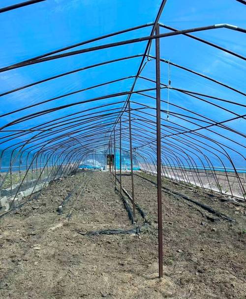 库车宇铭温棚物资在温室大棚工程与配套服务方面具有一定经验
