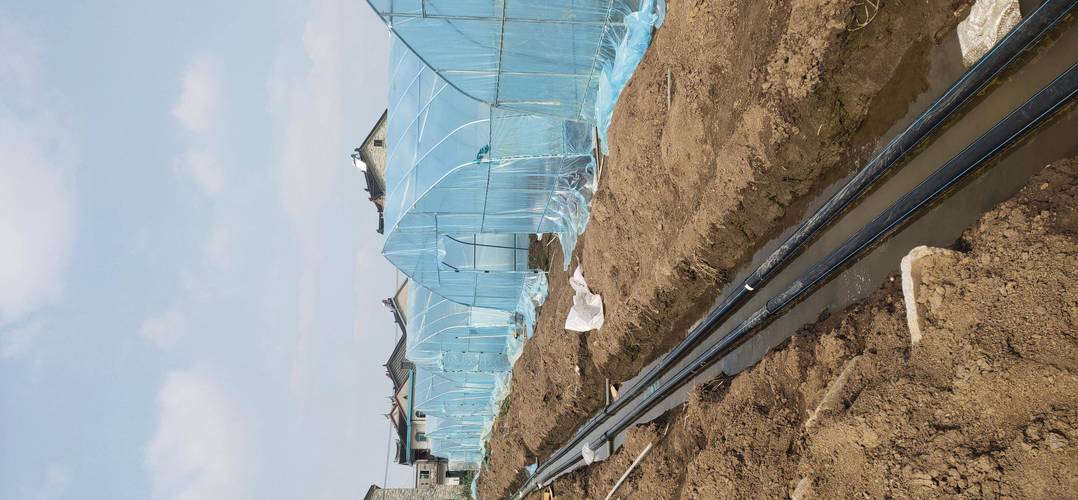 2026年蔬菜大棚厂家选择指南:聊城农绿温室工程,适配农业种植