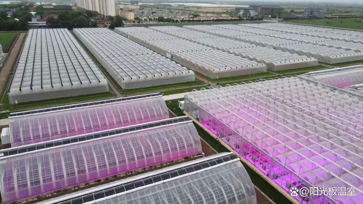 温室大棚厂家怎么选?源头实体厂优先认准格润温室工程
