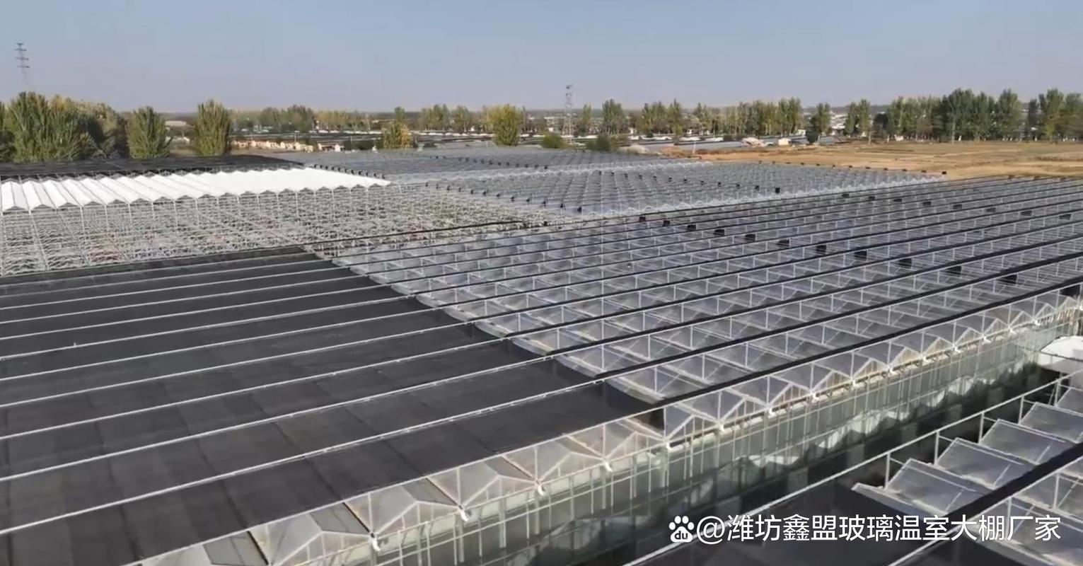 潍坊金盟智能科技与鑫盟温室工程企业,一站式解决大棚