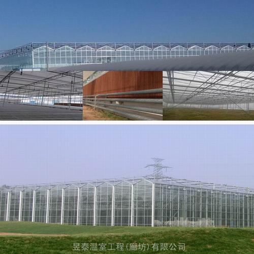 廊坊企业认证蔬菜花卉育苗玻璃温室大棚工程解析
